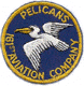 Pelicans patch